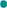 •