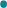 •